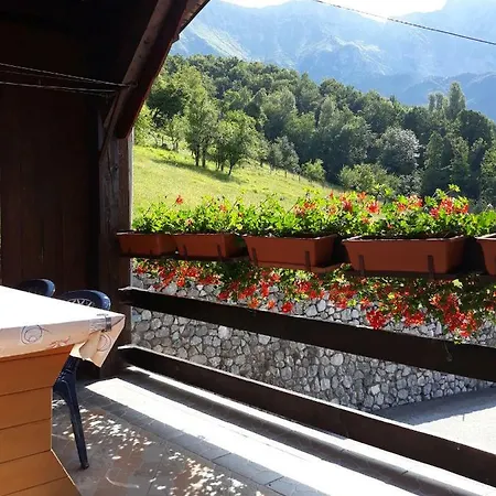 Apartmaji Berginc Apartman *