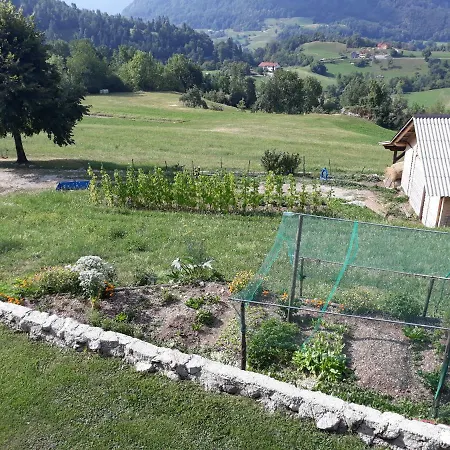 Apartmaji Berginc