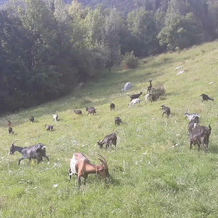 Apartmaji Berginc Kobarid