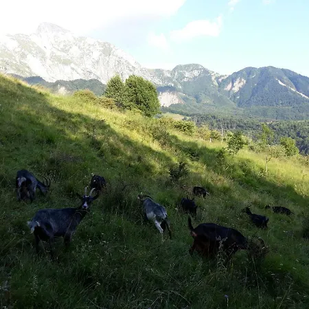 Apartmaji Berginc Appartement Kobarid