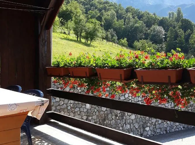 Apartmaji Berginc Apartment *