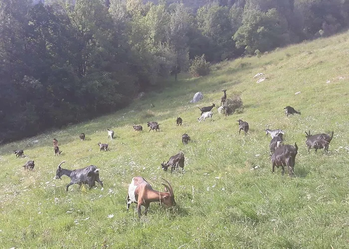 Apartmaji Berginc Kobarid