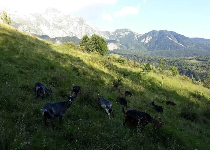 Apartmaji Berginc Apartamento Kobarid